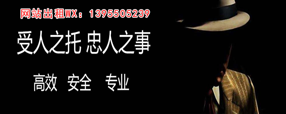 新余市私人调查